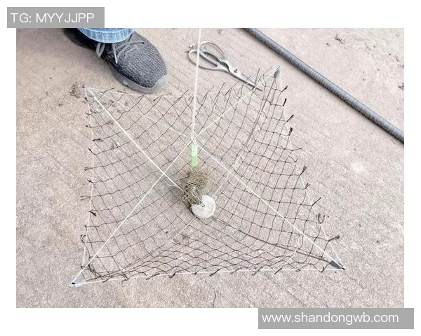 创新渔具设计与技术发展趋势分析助力钓鱼爱好者提升体验