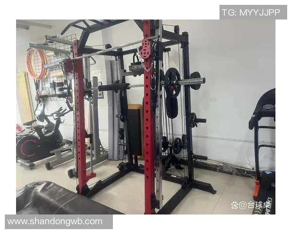 附近哪里有健身器材卖？本地健身器材商店指南